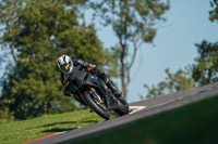 Middle 1 Group Black Bikes